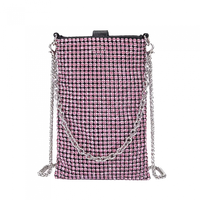 Shimmering Purse
