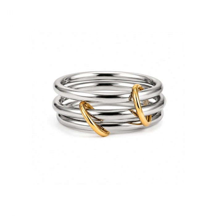 Silver & Gold Link #6
